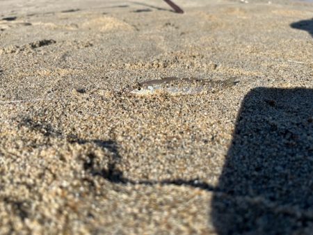 チーム主催の大会を実施しました