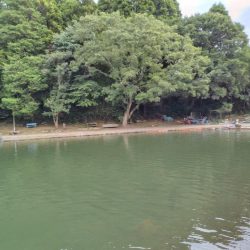 船釣りが中止になってしまったので・・・