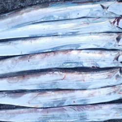 前回よりは調子↑