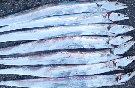 前回よりは調子↑