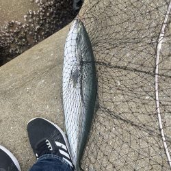 津久見　保戸島