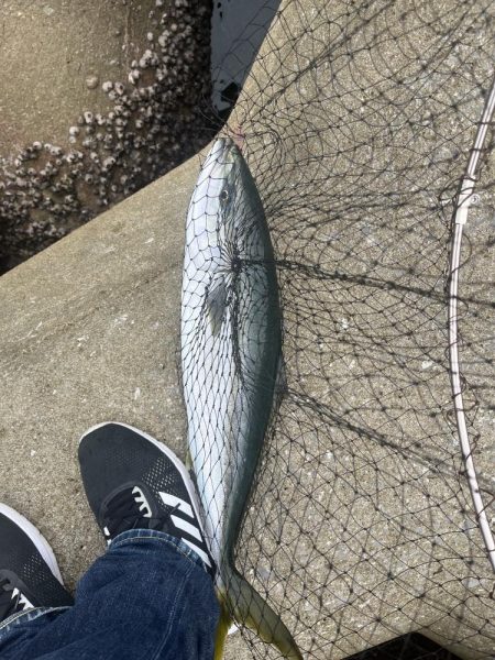 津久見　保戸島