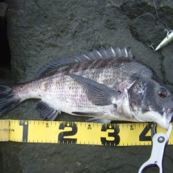 強風下でも出た