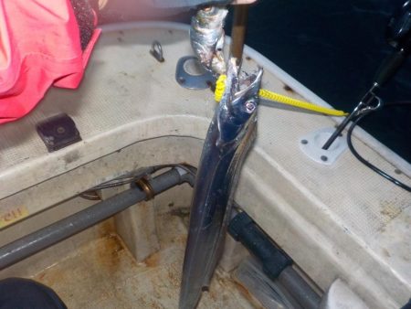 タチウオ第2戦〜盛和丸〜