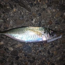 底物を調査してみた