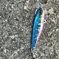 今日はこのジグ 最高でした。