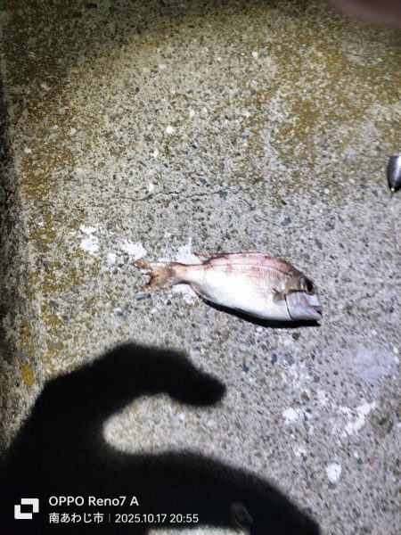 久しぶりの淡路島