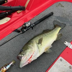 ディープホール55cm