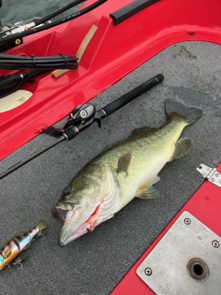 ディープホール55cm