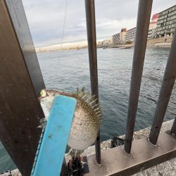 釣果も天気も寒い