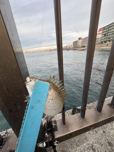 釣果も天気も寒い