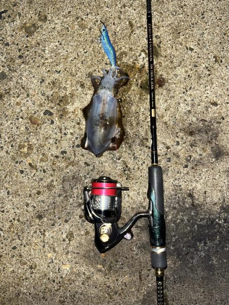 仕事帰りエギング①