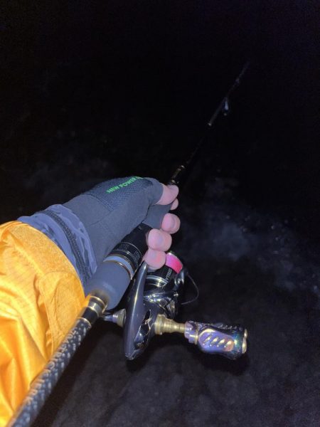 エギング 佐渡遠征④