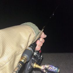 エギング　佐渡遠征⑤