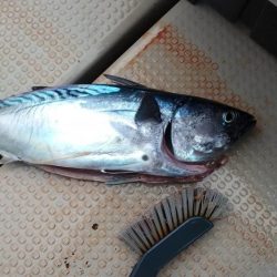 日本海ジギング