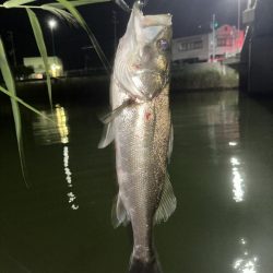 忍者ドリフトで水面炸裂