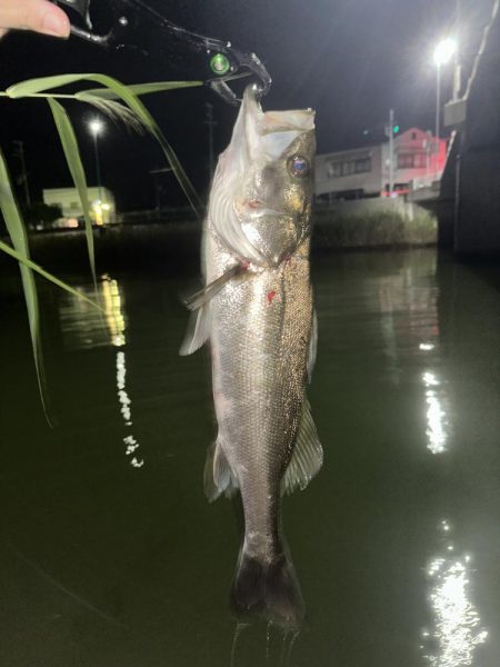 忍者ドリフトで水面炸裂