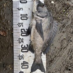 イチノ兄弟、釣果!