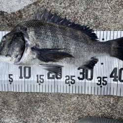 イチノ兄弟、釣果！