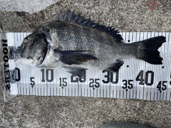 イチノ兄弟、釣果！