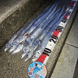 タチウオの食い込み悪いので一工夫