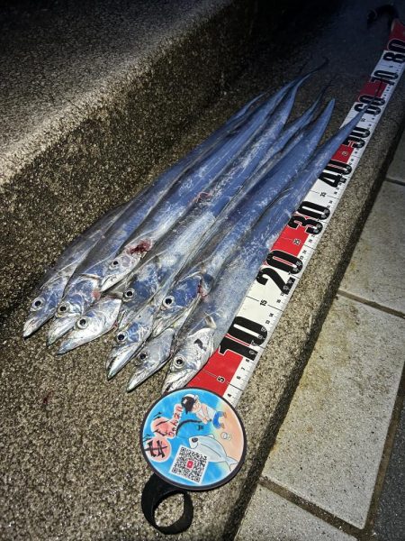 タチウオの食い込み悪いので一工夫