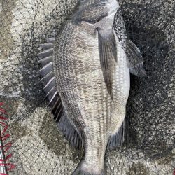 イチノ兄弟、釣果!