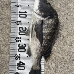 イチノ兄弟、釣果!