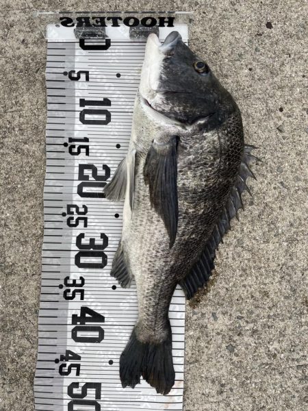 イチノ兄弟、釣果!