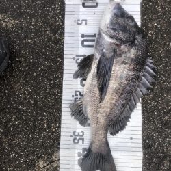 イチノ兄弟、釣果!