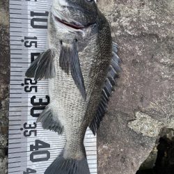 イチノ兄弟、釣果！