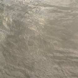 2025 佐渡ヶ島エギング Vol.32【10月17日】