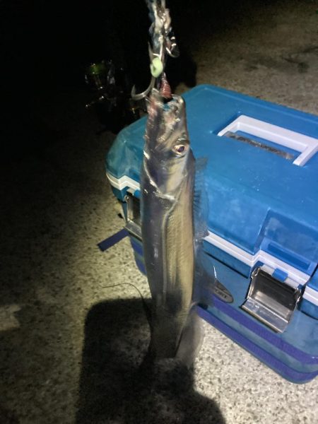 平日深夜でも釣り人まぁまぁ居る
