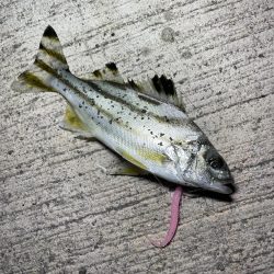 寒かったけど何とか…