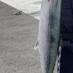 ショアジギング