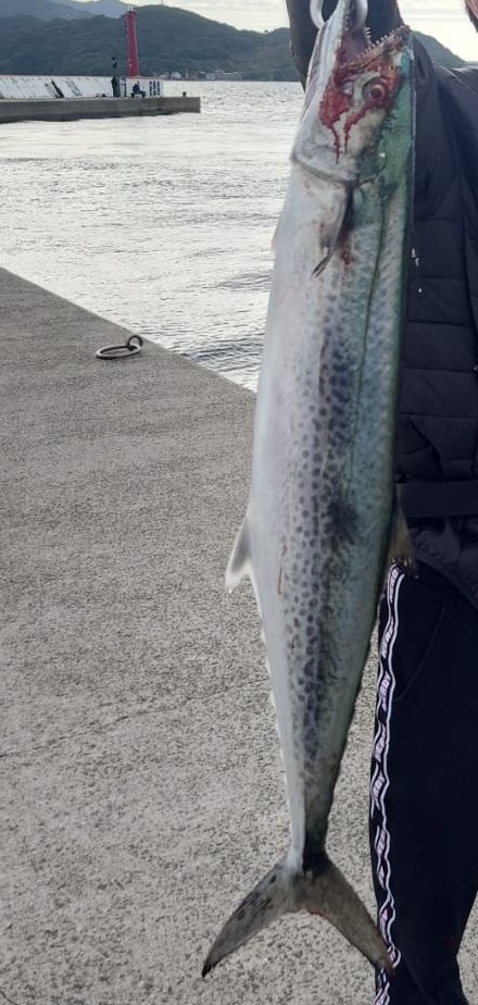 ショアジギング