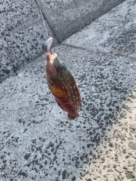 ちょい投げとブラクリ