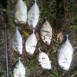 本日の釣行は楽しかったです＾＾。