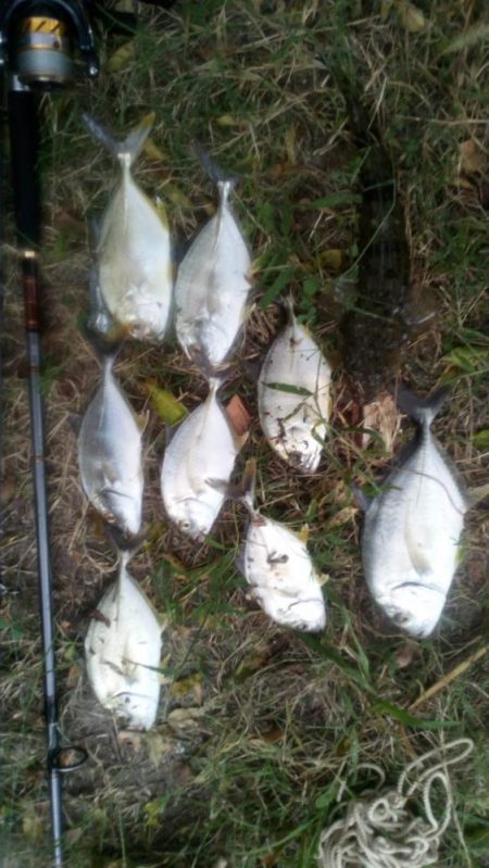 本日の釣行は楽しかったです＾＾。