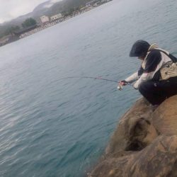 和歌山日置(三倉渡船)でグレ釣り