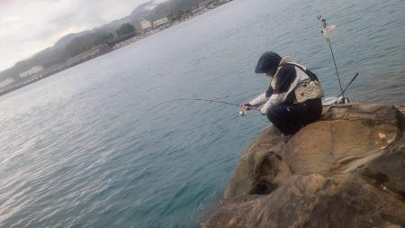 和歌山日置(三倉渡船)でグレ釣り