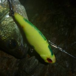 10月10日　一庫ダム釣行