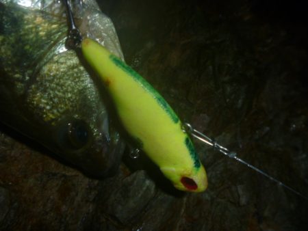 10月10日　一庫ダム釣行