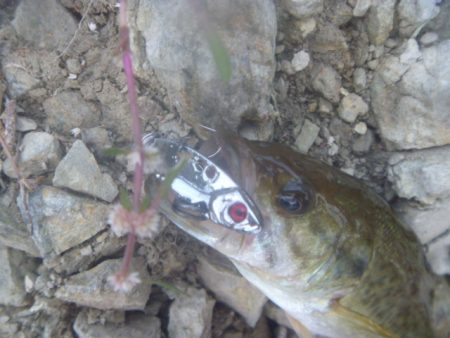 10月15日　一庫ダム釣行