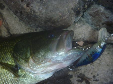 10月18日　一庫ダム釣行