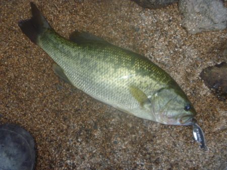 10月19日 一庫ダム釣行