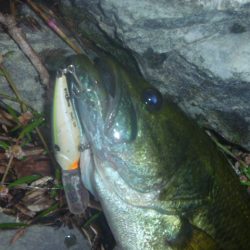 10月22日 一庫ダム釣行