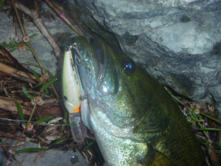 10月22日　一庫ダム釣行