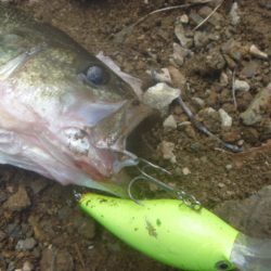 一庫ダム釣行　10月28日