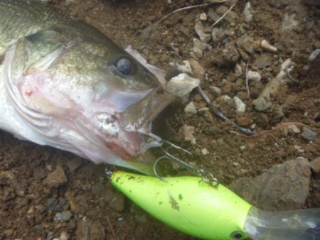 一庫ダム釣行　10月28日